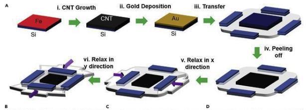 emc易倍·(中国)体育官方网站-EMC SPORTS