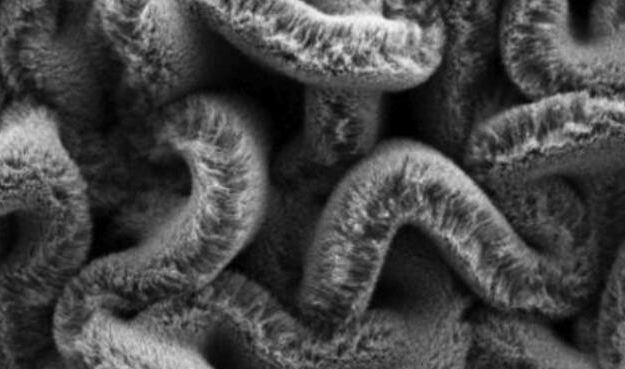 行业新闻：可拉伸的超等电容器，，，为柔性可衣着装备铺路